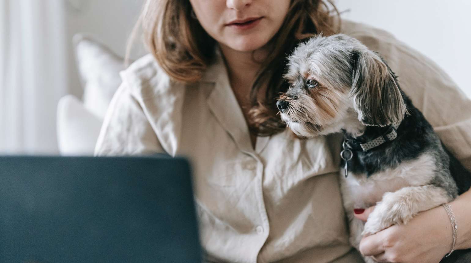 A relaxed dog spending time with its owner